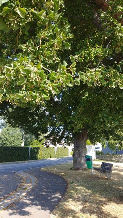 Balade Pousset 18