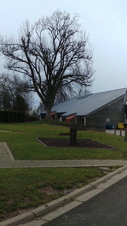 Balade de Remicourt 2,5