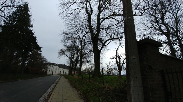 Balade Remicourt 3