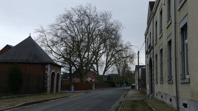 Balade Remicourt 4