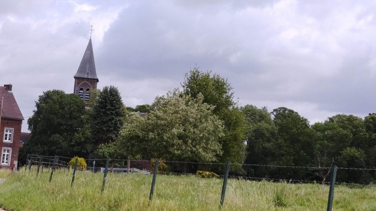 Balade Remicourt 13